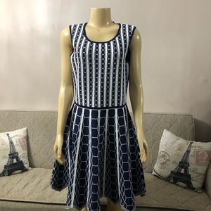 🌺🌺NWT Pink Tartan  A - line dress size L